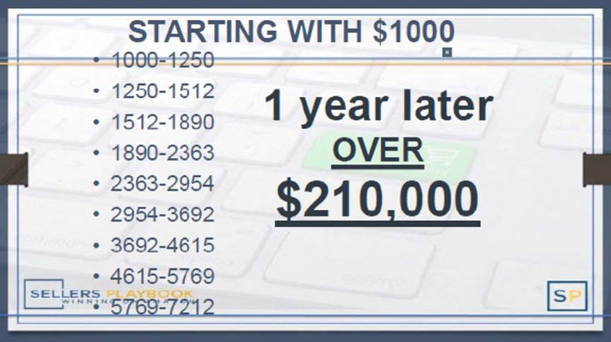 Sellers Playbook purported earnings visual