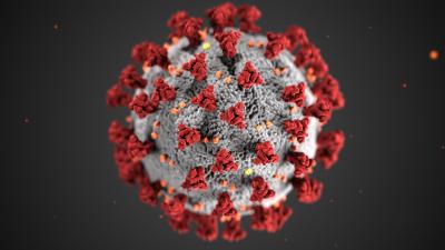 free full text en espanol Computer-generated illustration of gray and red coronavirus cell on solid black background