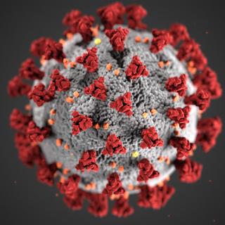 Computer-generated illustration of gray and red coronavirus cell on solid black background