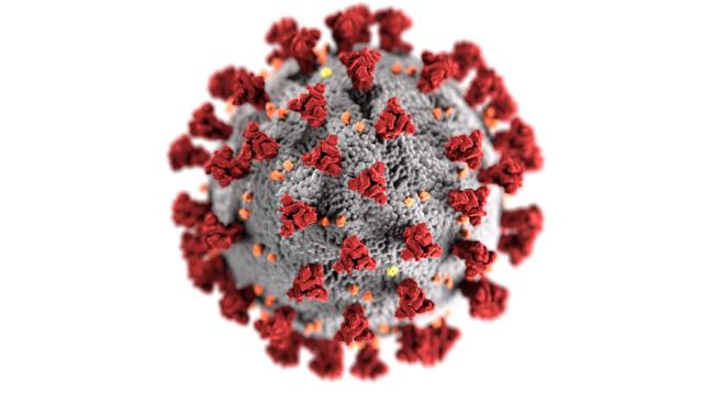 A computer-generated illustration of a gray and red coronavirus cell on a solid white background