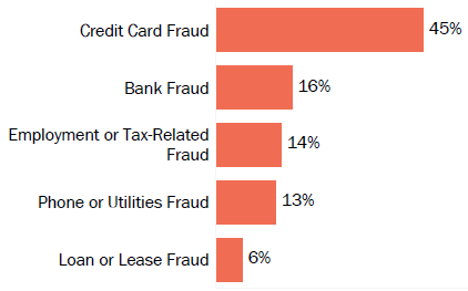 Graph of consumer reports of identity theft in Vermont by type in 2017. The type with the most reports was credit card fraud with 45 percent of reports, bank fraud with 16 percent, employment or tax-related fraud with 14 percent, phone or utilities fraud with 13 percent, and loan or lease fraud with 6 percent.